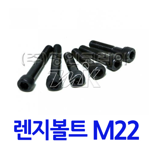 특강렌지볼트 M22 (17811)