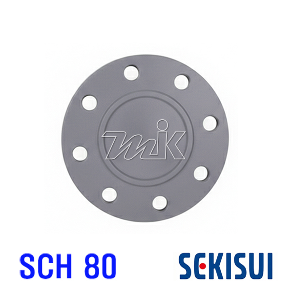 CPVC(SCH80/ANSI) 맹후렌지(ANSI) (25928)